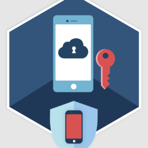 ElcomSoft Phone Breaker Forensic 2025 [Lifetime License]