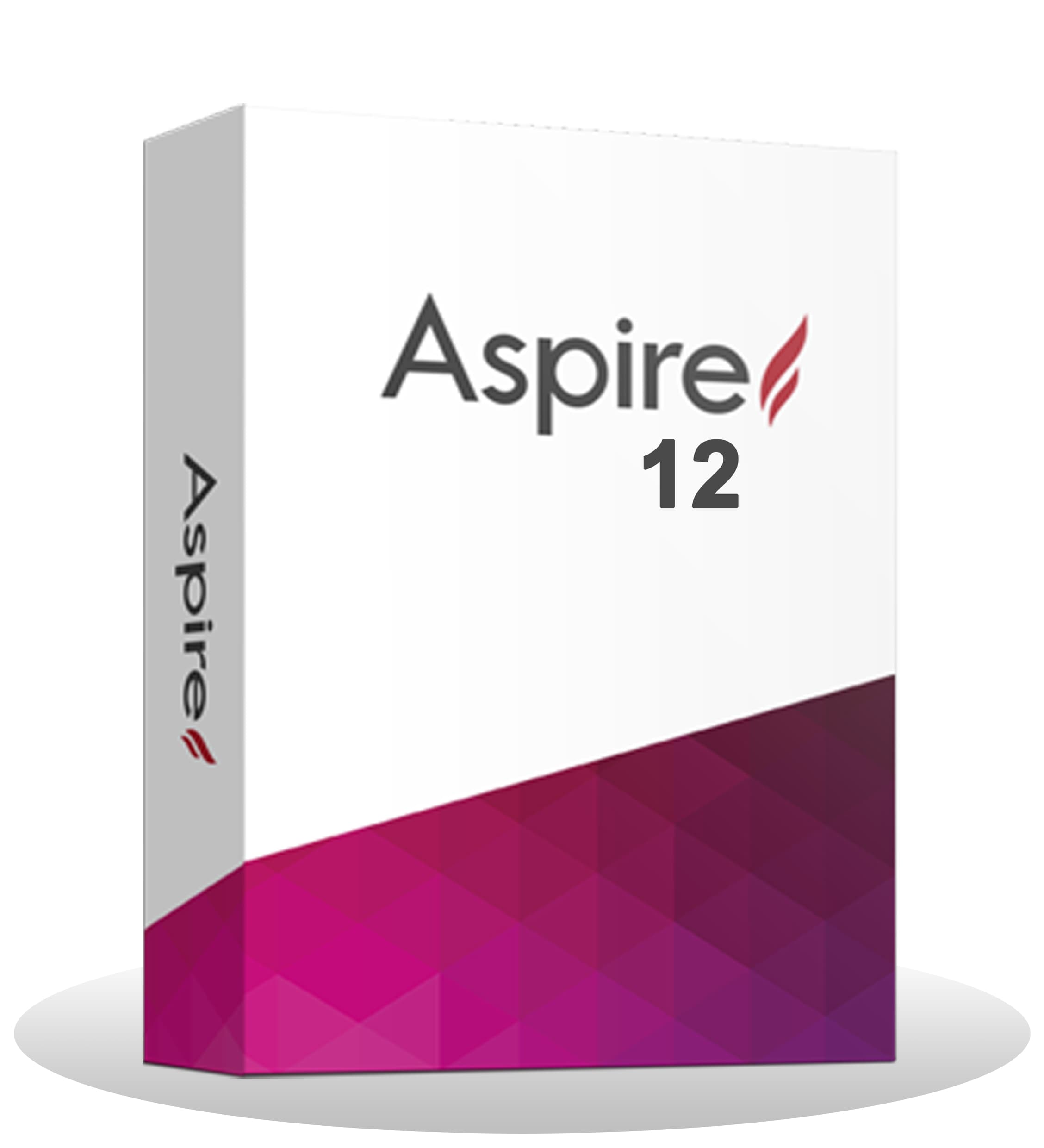 Vectric Aspire Pro 12