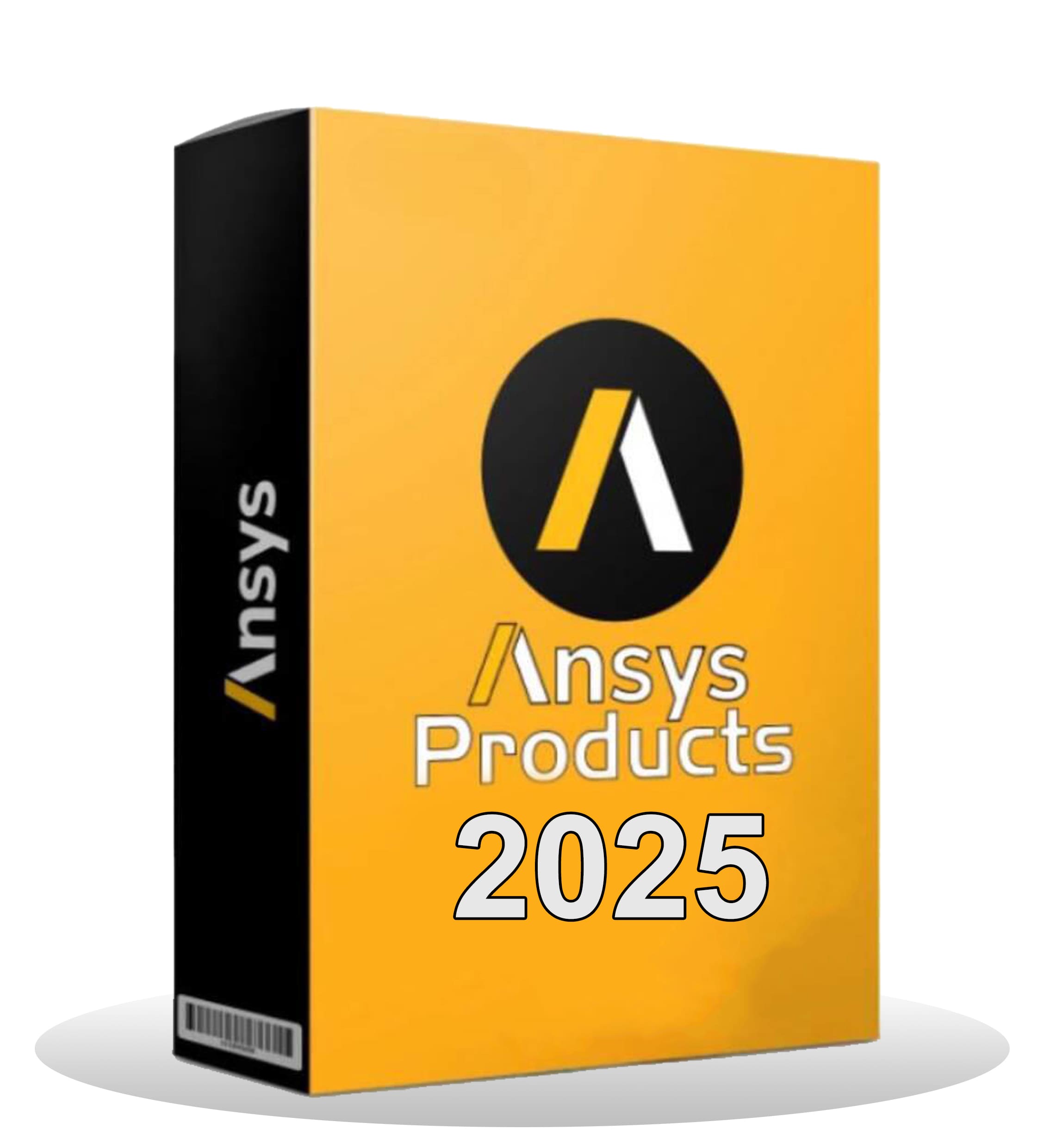 ANSYS Products 2025 R2
